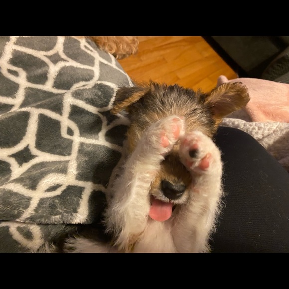 Meet your Posher, Vanessa - Picture 5 of 9